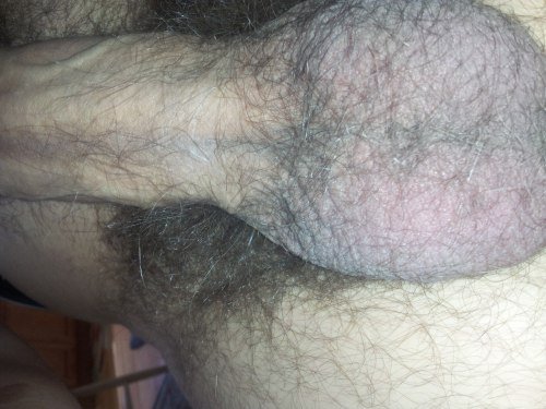 Порно фото с волосатыми хуями