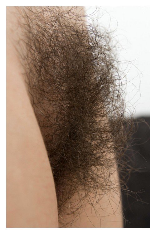 Волосатые лобки женщин фото