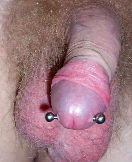 Мужской интимный пирсинг (Male genital piercing)