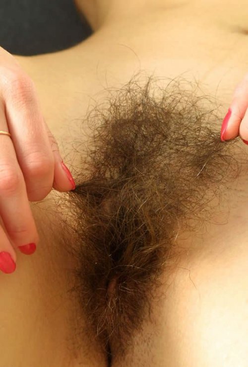 Волосатые пизды женщин фото